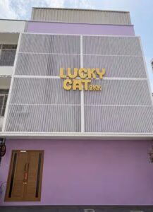 Lucky Cat Bkk